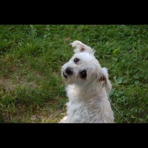 Meet your Posher, Vicky